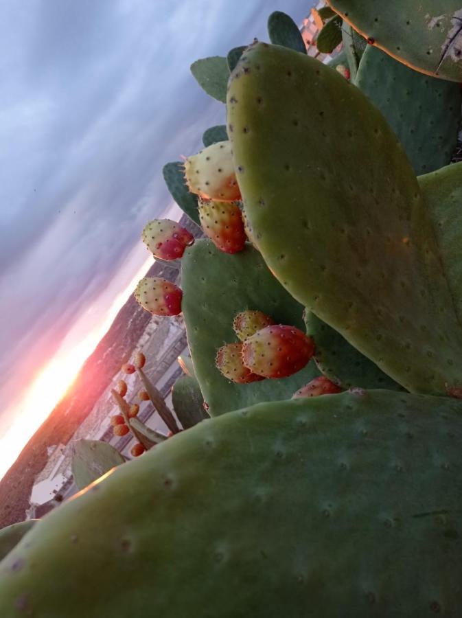 Trigona Garden Suite Noto Dış mekan fotoğraf