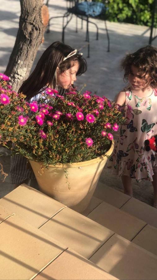 Trigona Garden Suite Noto Dış mekan fotoğraf