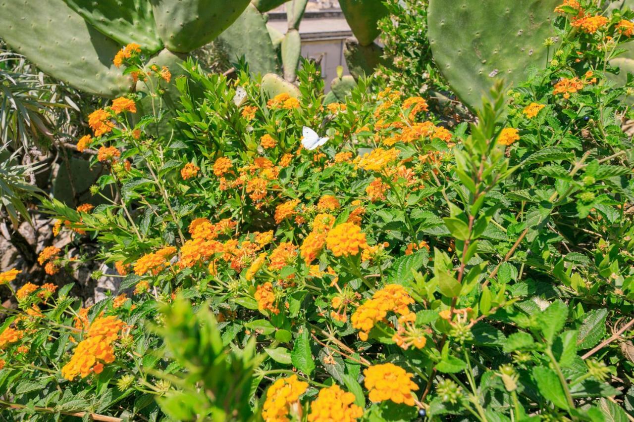 Trigona Garden Suite Noto Dış mekan fotoğraf